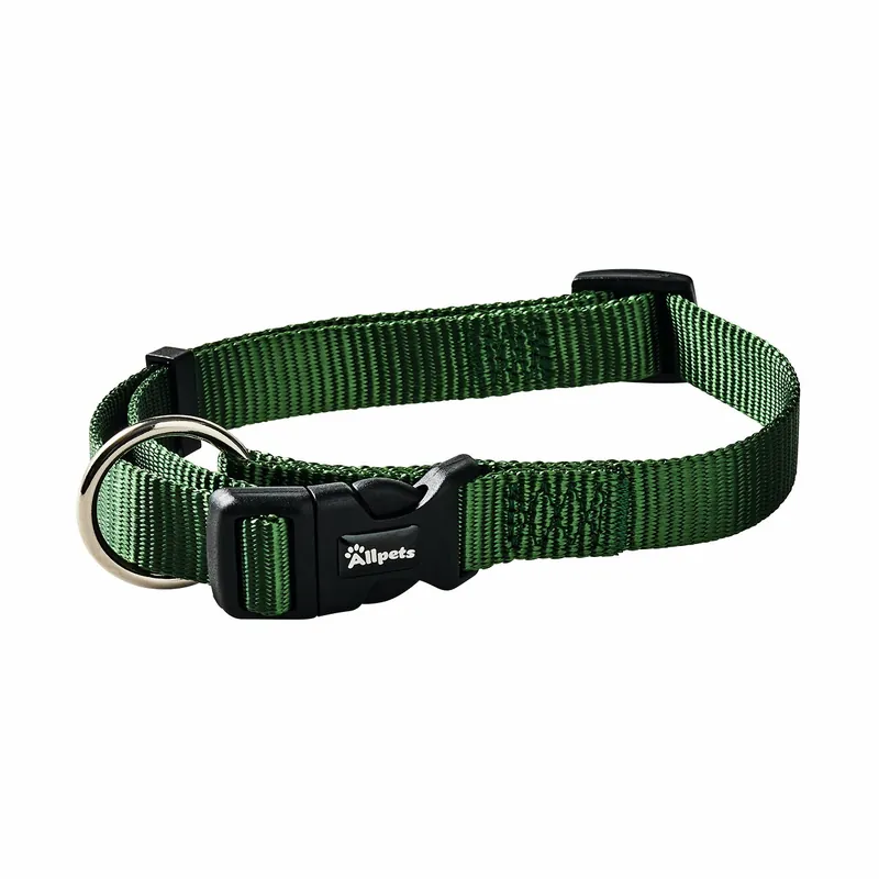 Zertifiziert Allpets Classy Halsband XS–S 22–35 cm / 10 mm green